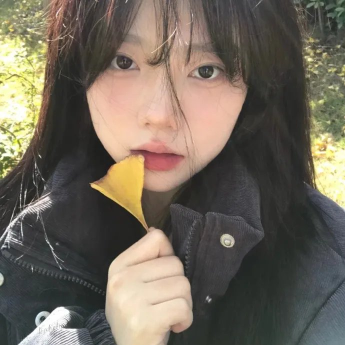 命运探索者